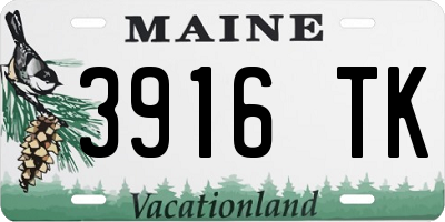 ME license plate 3916TK