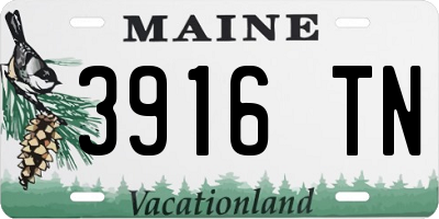 ME license plate 3916TN