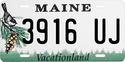 ME license plate 3916UJ