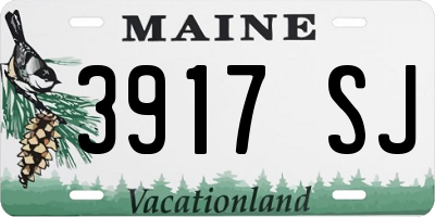 ME license plate 3917SJ