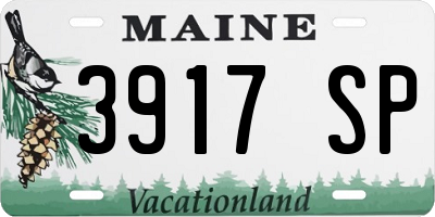 ME license plate 3917SP