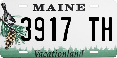 ME license plate 3917TH
