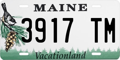 ME license plate 3917TM
