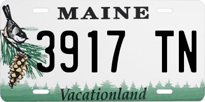 ME license plate 3917TN