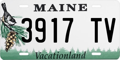 ME license plate 3917TV