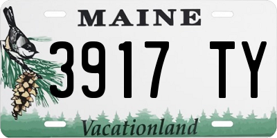 ME license plate 3917TY