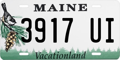 ME license plate 3917UI
