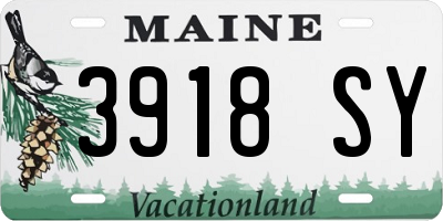 ME license plate 3918SY