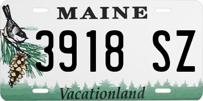 ME license plate 3918SZ