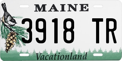 ME license plate 3918TR
