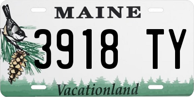 ME license plate 3918TY