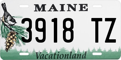 ME license plate 3918TZ