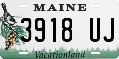 ME license plate 3918UJ