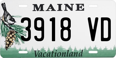 ME license plate 3918VD