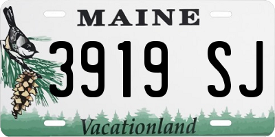 ME license plate 3919SJ