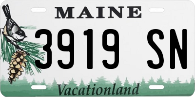 ME license plate 3919SN