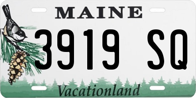 ME license plate 3919SQ
