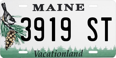 ME license plate 3919ST