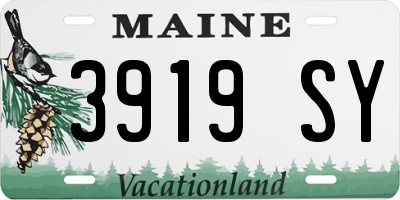 ME license plate 3919SY