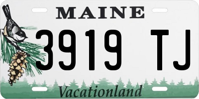 ME license plate 3919TJ