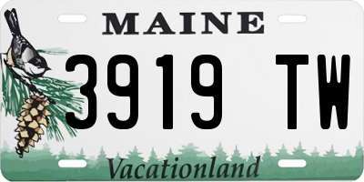 ME license plate 3919TW