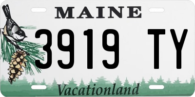 ME license plate 3919TY