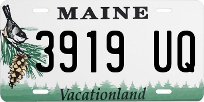ME license plate 3919UQ