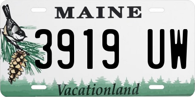 ME license plate 3919UW