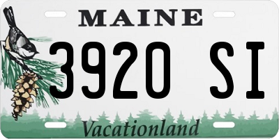 ME license plate 3920SI