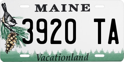 ME license plate 3920TA