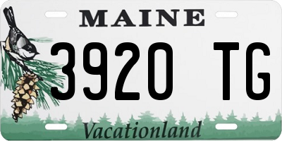 ME license plate 3920TG
