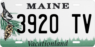 ME license plate 3920TV