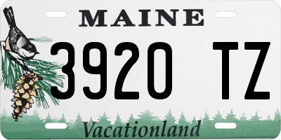 ME license plate 3920TZ