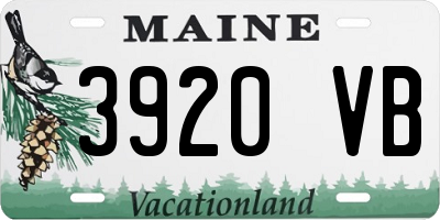 ME license plate 3920VB