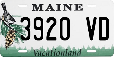 ME license plate 3920VD