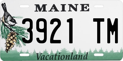 ME license plate 3921TM