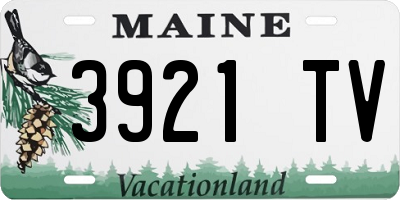 ME license plate 3921TV