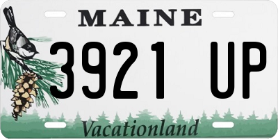 ME license plate 3921UP