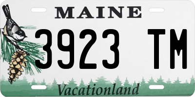 ME license plate 3923TM
