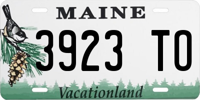 ME license plate 3923TO