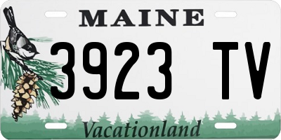ME license plate 3923TV