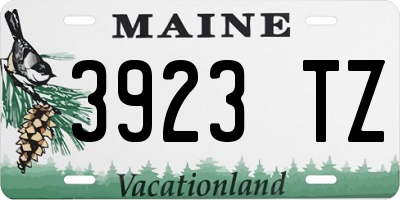 ME license plate 3923TZ
