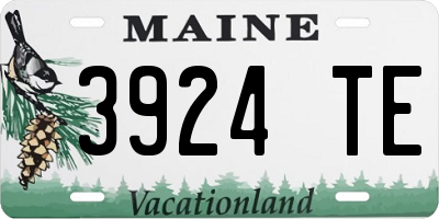ME license plate 3924TE