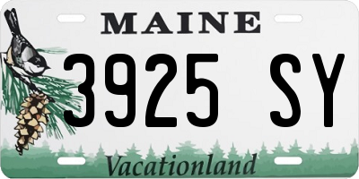 ME license plate 3925SY