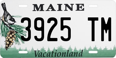 ME license plate 3925TM