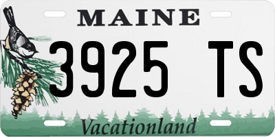 ME license plate 3925TS
