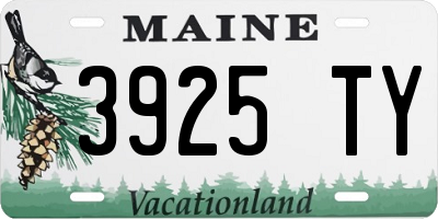 ME license plate 3925TY