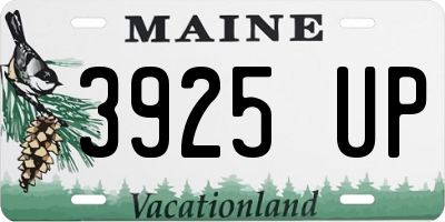 ME license plate 3925UP
