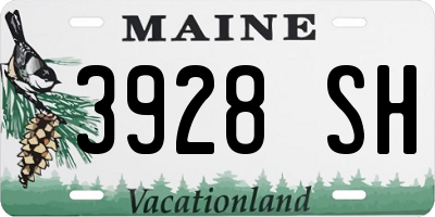 ME license plate 3928SH