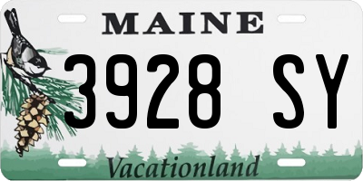 ME license plate 3928SY